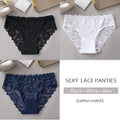 Women's 3-Pack Luxury Lace Embroidery Panties | Floral Hollow Briefs S-XXL