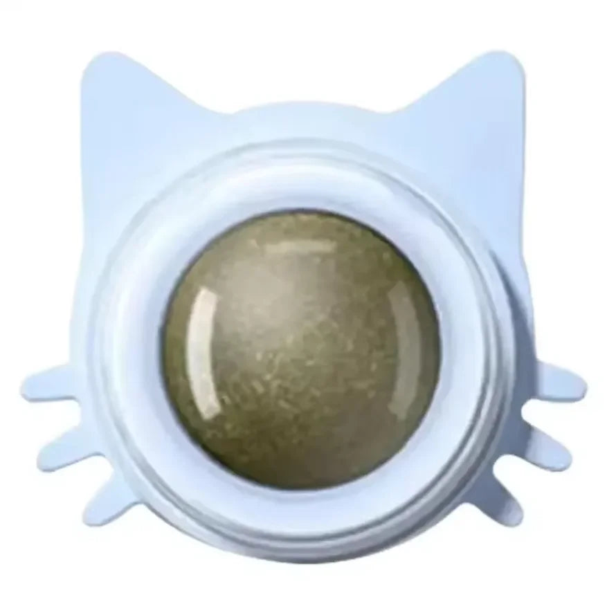 Interactive Catnip Wall Spin Ball for Cats