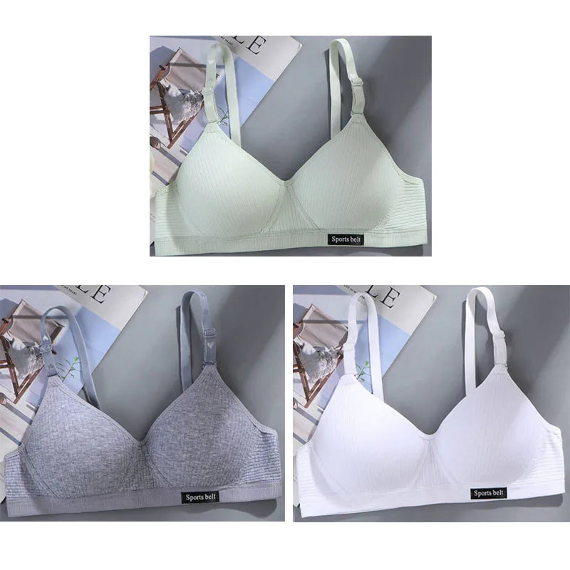 3-Pack Women's Wireless Bra – Seamless Thin Padded V-Shape Everyday Comfort Bra