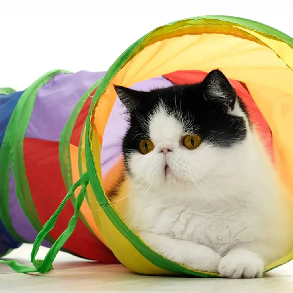 Foldable Cat Tunnel Tube Toy – Collapsible Interactive Play Tunnel for Cats, Kittens & Rabbits