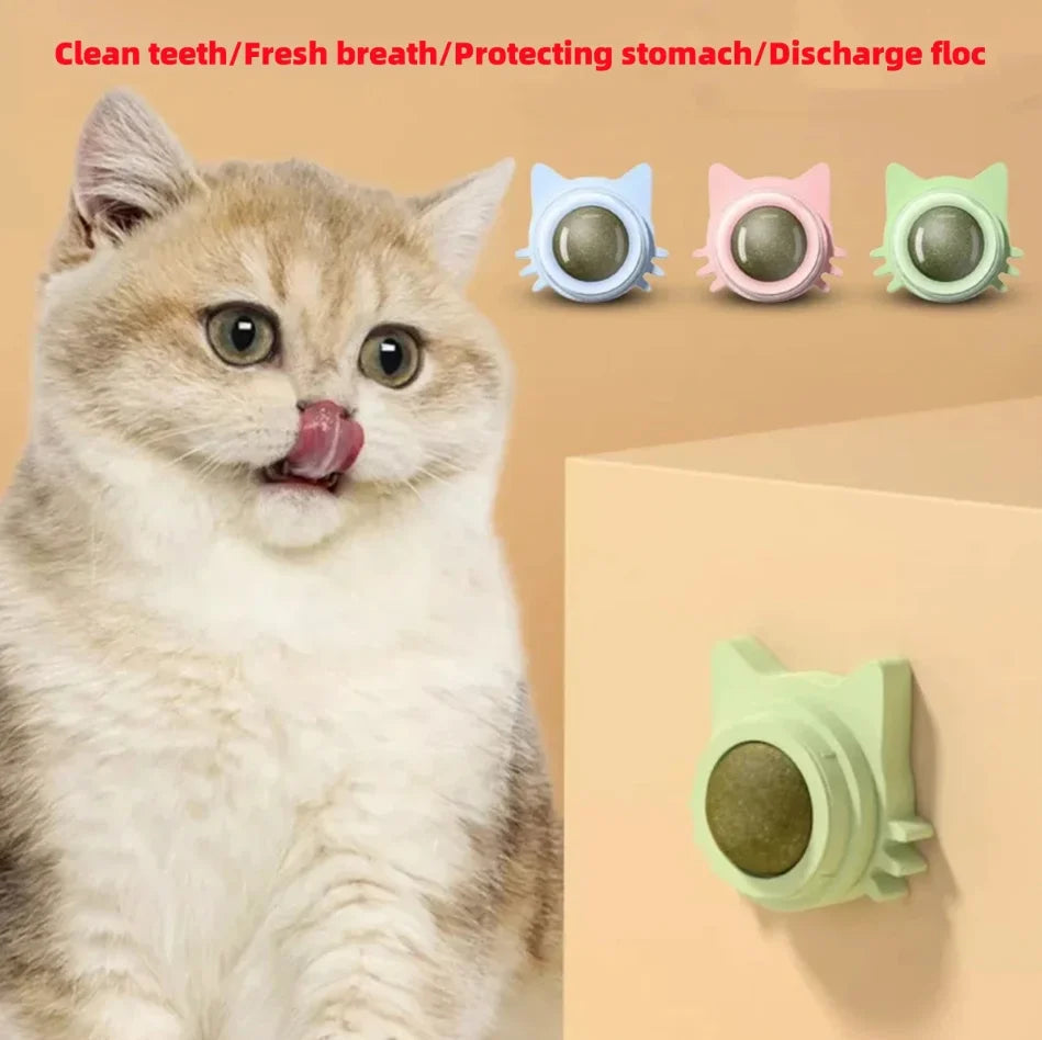 Interactive Catnip Wall Spin Ball for Cats