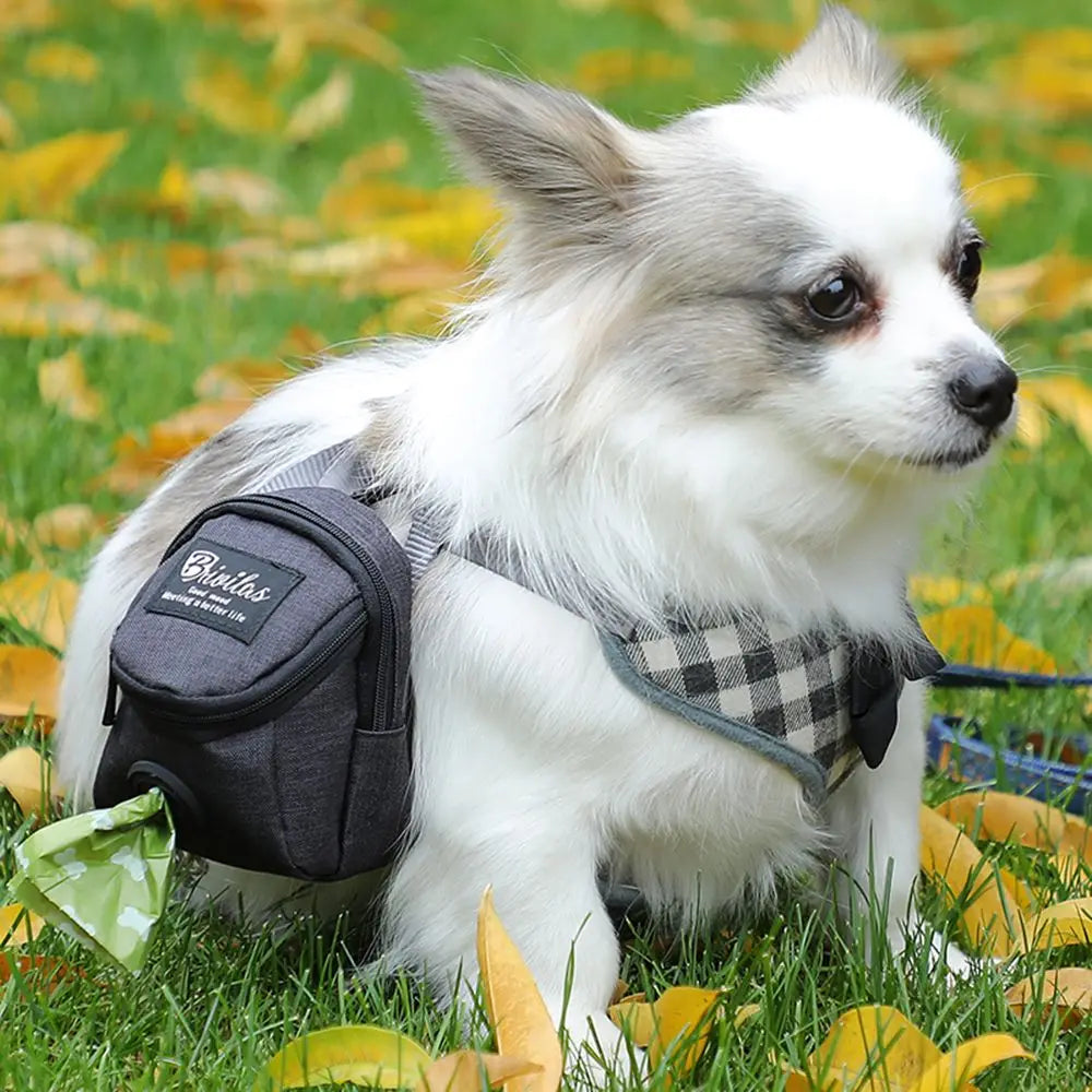 Dog Treat Pouch & Poop Bag Dispenser — Clip-On Waist Bag